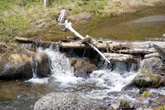 SONY DSC