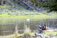 SONY DSC