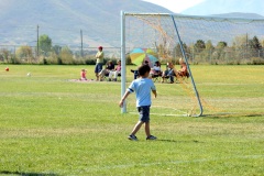 SONY DSC