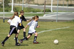 SONY DSC
