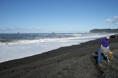 SONY DSC