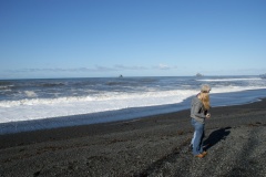 SONY DSC