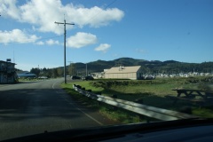 SONY DSC
