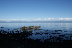 SONY DSC