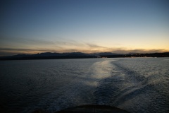 SONY DSC