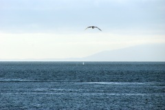 SONY DSC