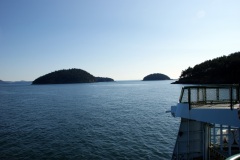 SONY DSC