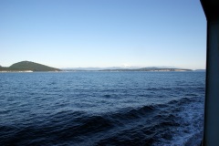 SONY DSC
