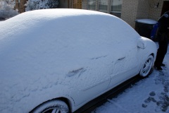 SONY DSC
