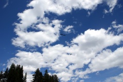 SONY DSC