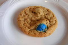 20110618cookies-007