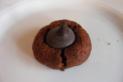 20110618cookies-015