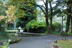 SONY DSC