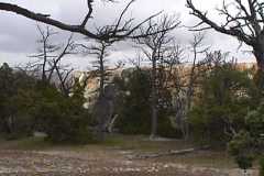 19980615-005
