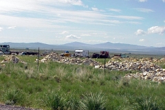 19990603-021