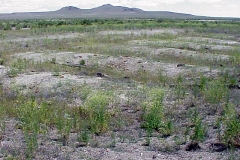 19990603-026
