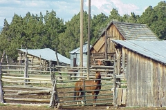 19990603-029