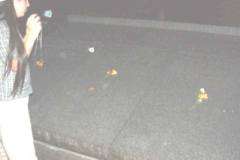 19990811a-005