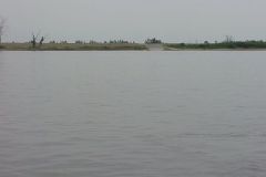 19990811a-015