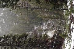 20000605-040
