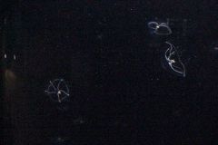20011021a-002