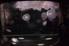 20011021a-008
