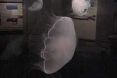 20011021a-009