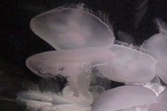 20011021a-010