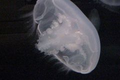 20011021a-015
