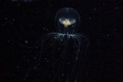 20011022a-001
