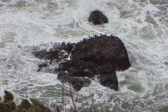 20011022a-009