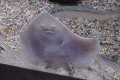 20011022a
