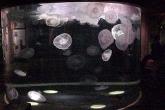 20011022b-026
