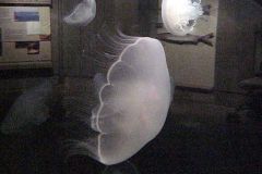 20011022b-027