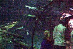 20011022b-045