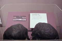 20020627a-015