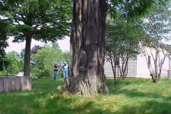 20020627b-030