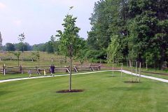 20020627d-001