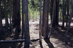 20030607-051