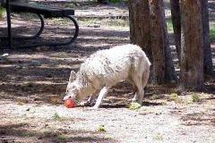 20030607-056