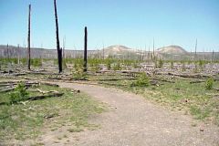 20030608-005