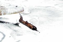 20030609-019