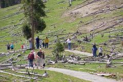20030610-007