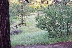 20030724-001