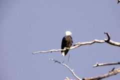 20030913-006