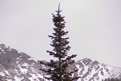 20031004-013