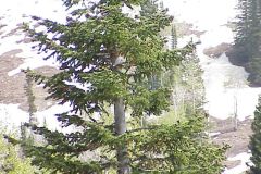 20031004-015