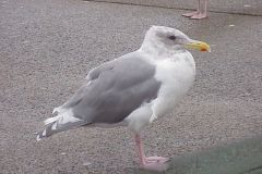 20031020-001