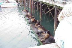 20031020-004