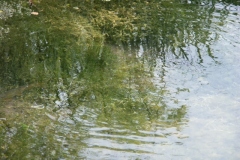 Minolta DSC